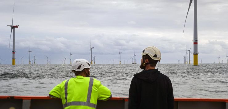 two techs looking at a sea of windmills
