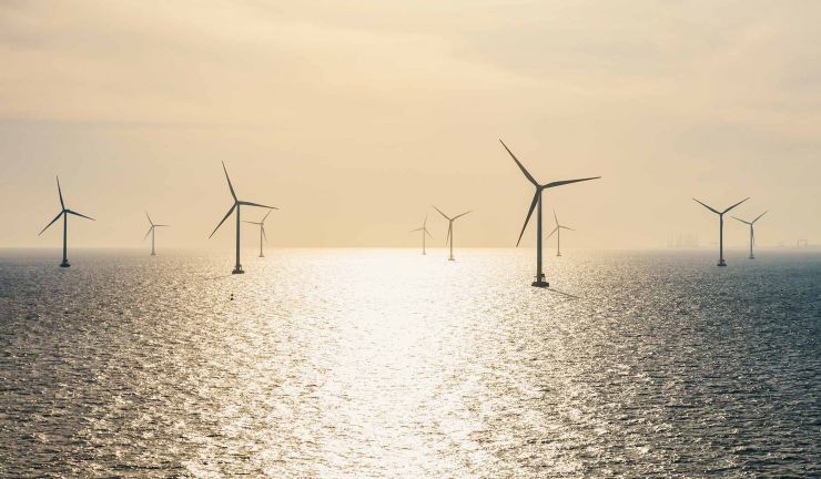 sun shining on sea of windmills